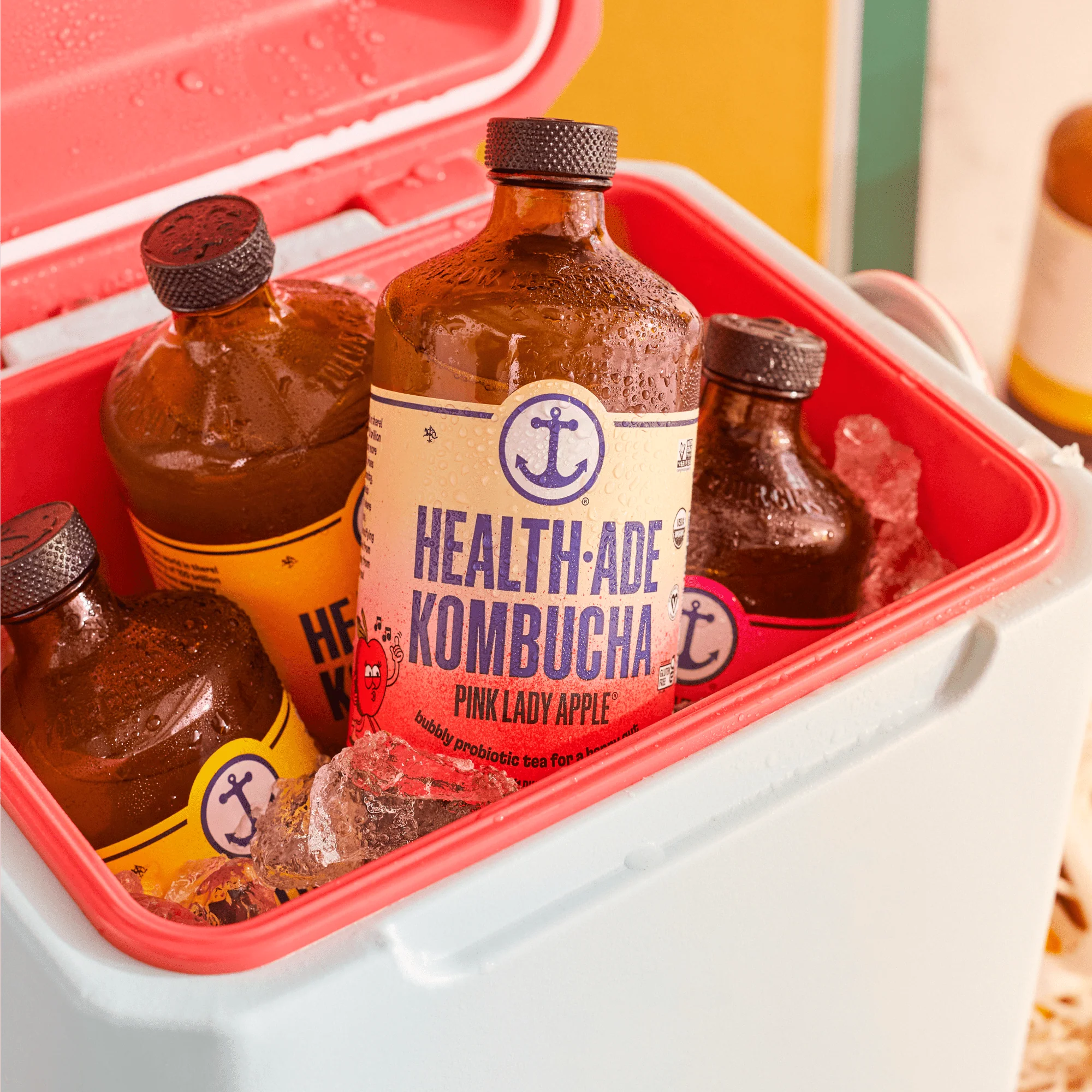 Signature Variety Pack - Image 5