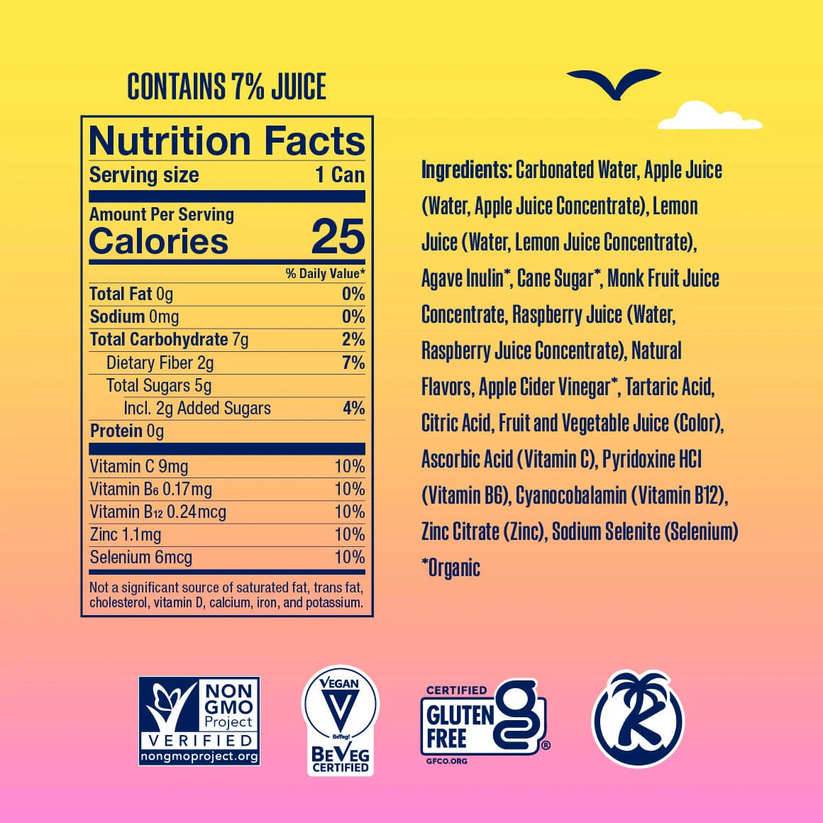 Raspberry Lemonade - SunSip - Image 3