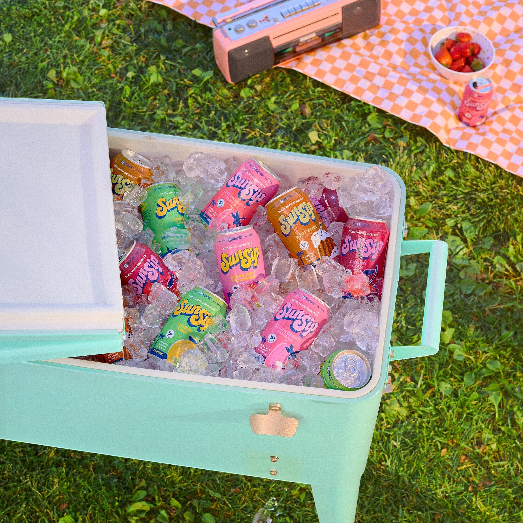 Soda Sampler Variety Pack - SunSip - Image 4